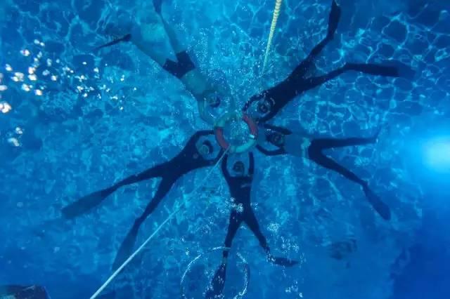 深度交流,探索村民玉米地发现约300斤野生黑熊,遇到野生动物该怎么办呢?