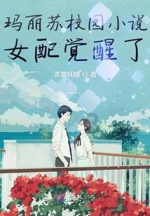 探探猫宝石岛