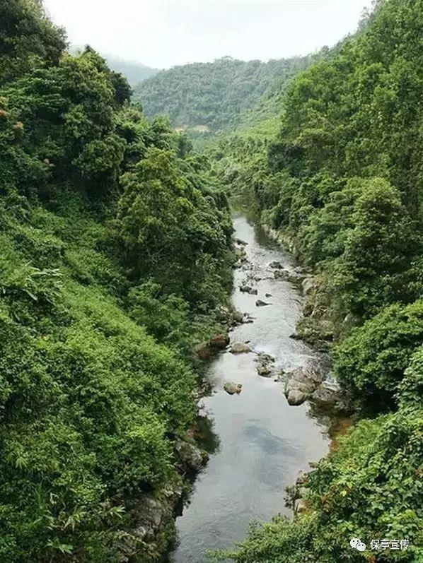 大厦管理者